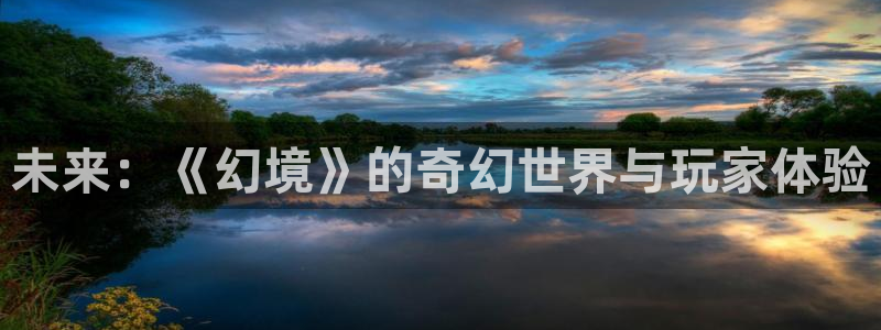 未来：《幻境》的奇幻世界与玩家体验