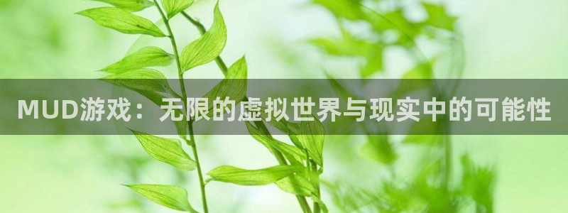  MUD游戏：无限的虚拟世界与现实中的可能性