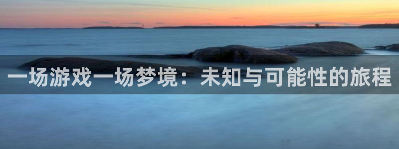 一场游戏一场梦境：未知与可能性的旅程