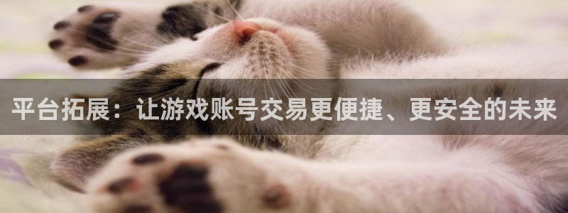  williamhill英国威廉希尔：平台拓展：让游戏账号交易