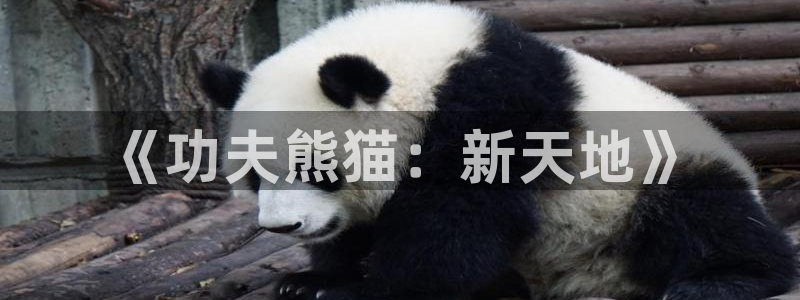  威廉希尔欧赔分析：《功夫熊猫：新天地》