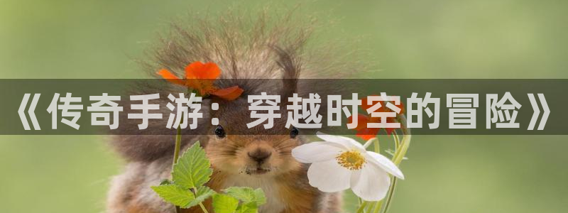 威廉希尔体育app官网