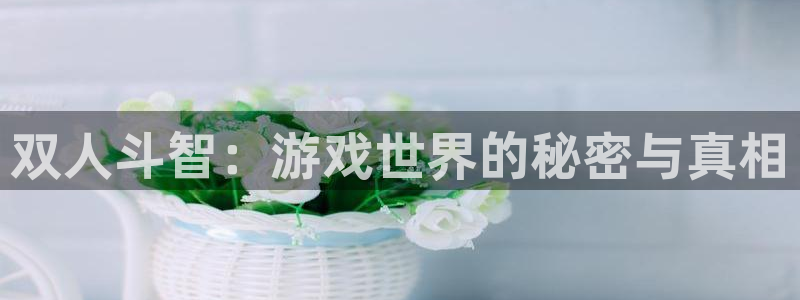 威廉希尔足球：双人斗智：游戏世界的秘密与真相