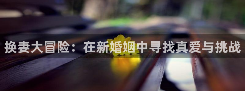  哪里可以买威廉希尔：换妻大冒险：在新婚姻中寻找真爱与挑战