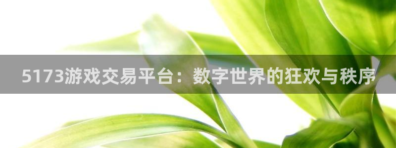  威廉希尔平台怎么样：5173游戏交易平台：数字世界的狂欢与秩