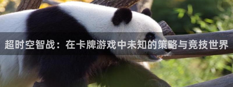  威廉希尔官网：超时空智战：在卡牌游戏中未知的策略与竞技世界