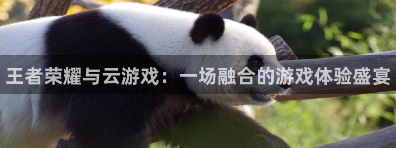威廉希尔足球官网：王者荣耀与云游戏：一场融合的游戏体验盛宴