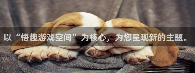 英国威廉希尔官网：以“悟趣游戏空间”为核心，为您呈现新的主题
