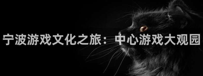 william威廉希尔：宁波游戏文化之旅：中心游戏大观园