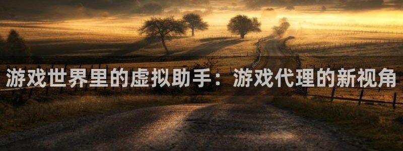  威廉希尔在中国有没有平台：游戏世界里的虚拟助手：游戏代理的新