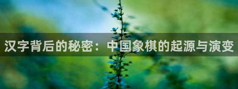 william威廉希尔：汉字背后的秘密：中国象棋的起源与演变